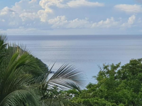 T2 duplex sur les hauteurs de l Anse a l Ane aux Trois Ilets